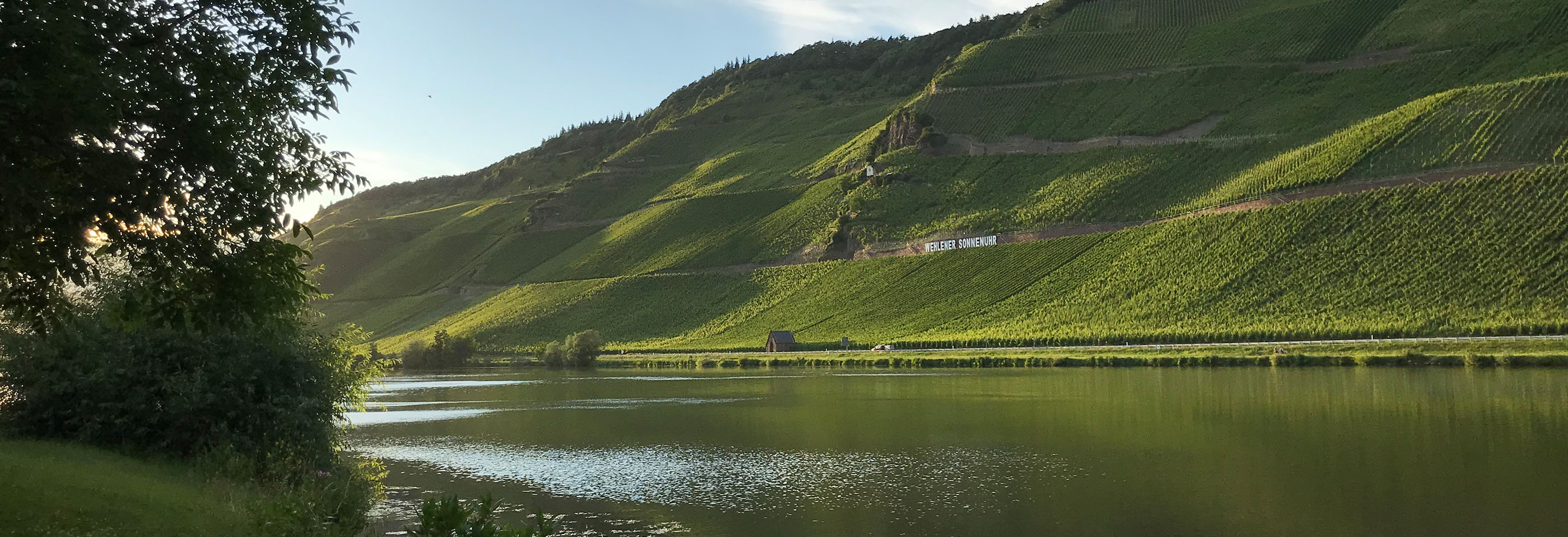 German wine vineyard on a hill