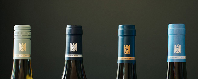 Riesling grape being harvested