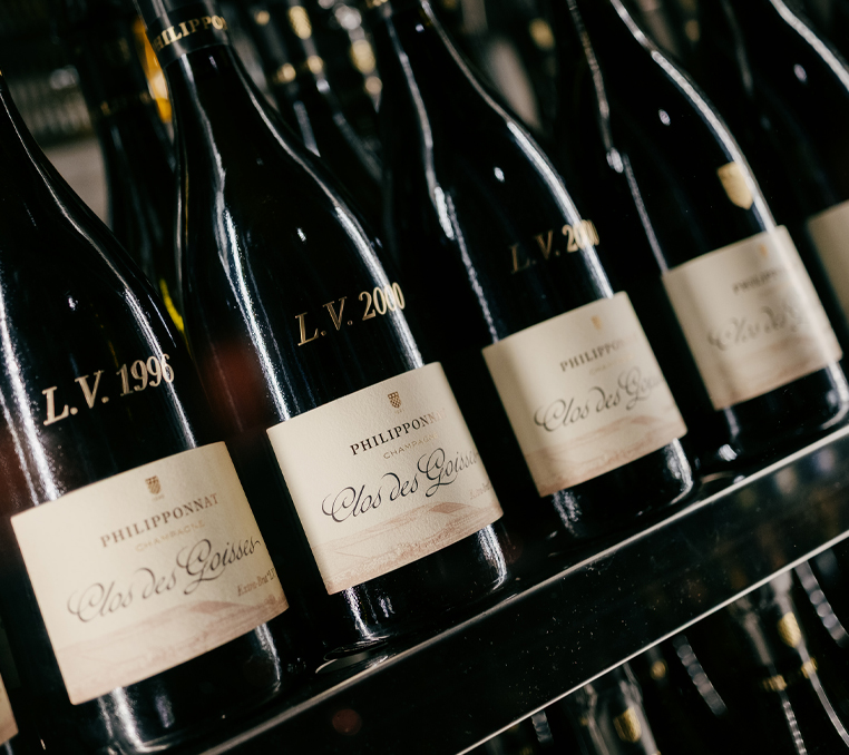 Rows of different Piedmont wines