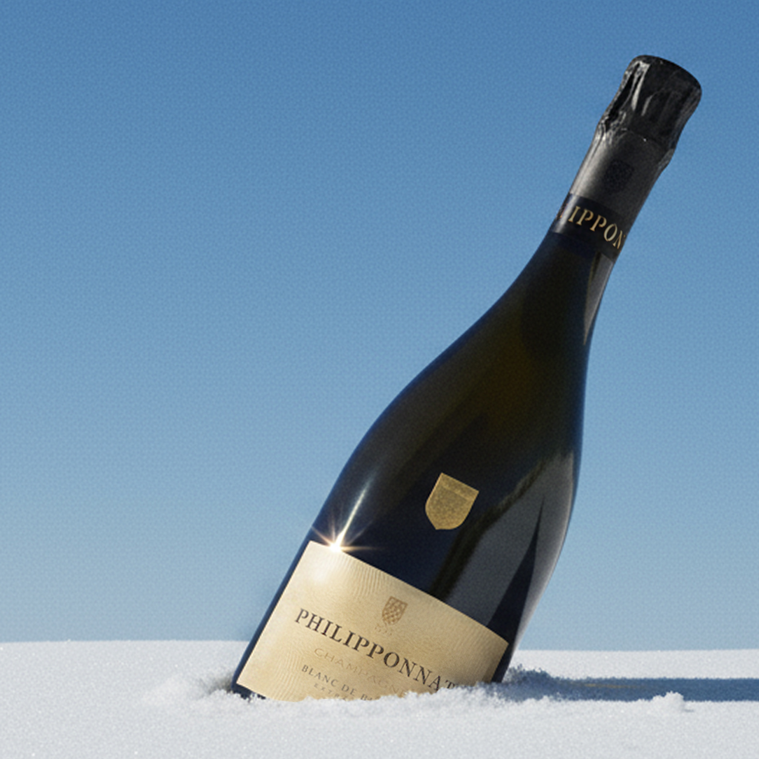 Bottle Of Champagne On Winter Day In The Snow