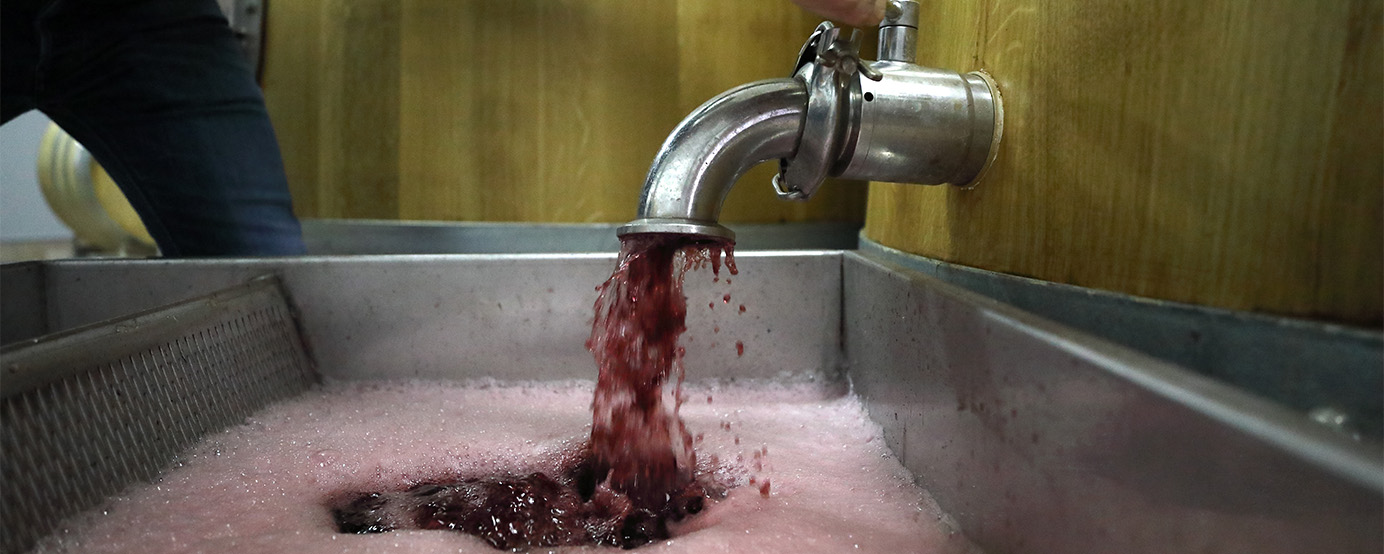 Red wine being poured from barrell