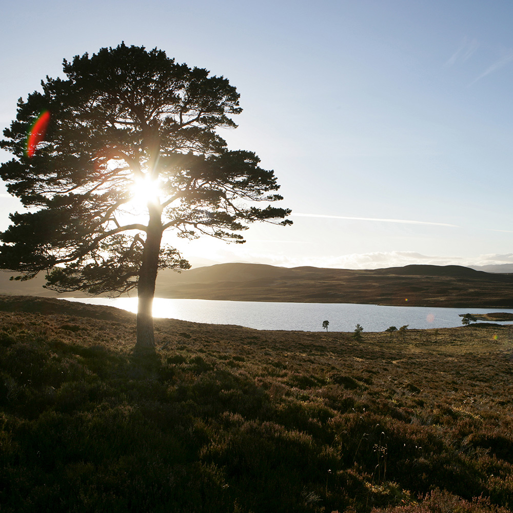 Angus Bremner Photography Glen Ord Distillery