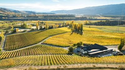 Birds-eye-view of Felton vineyard