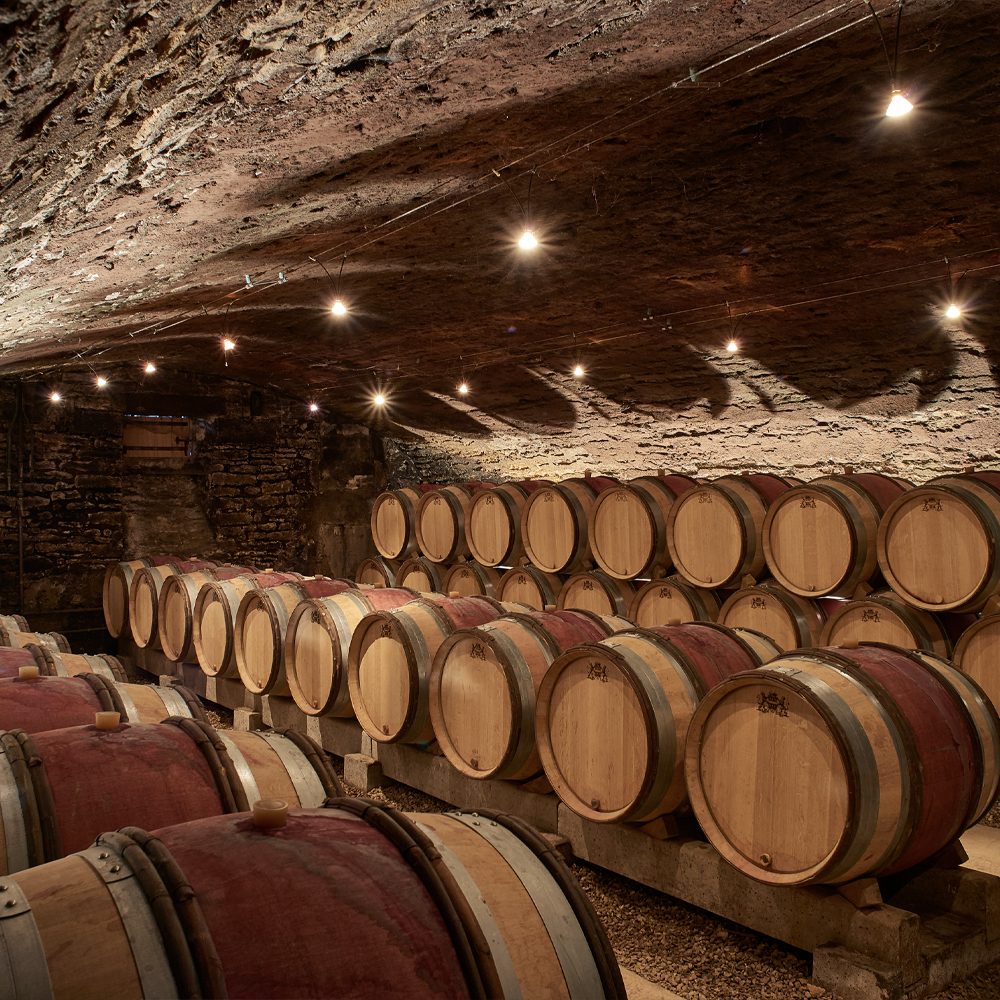 Wine Barrels in Cellar