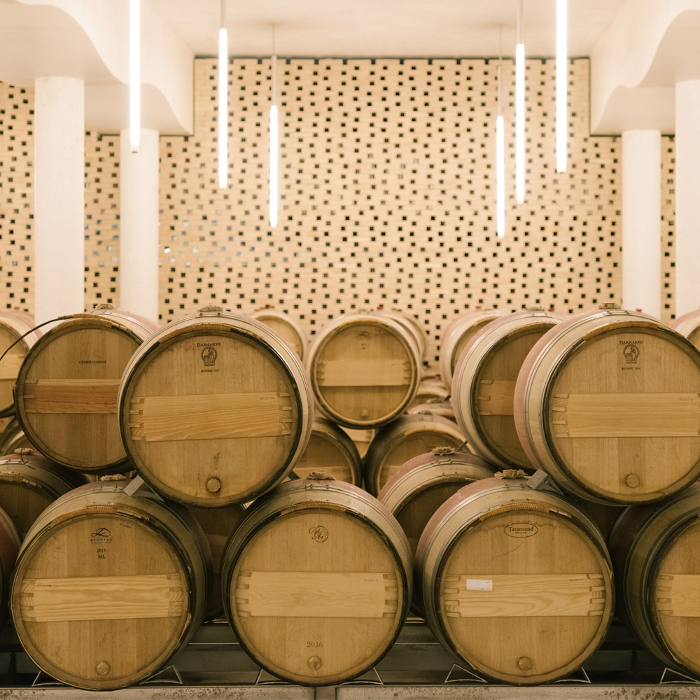 Barrels in cellar