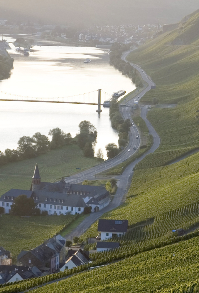 Room full of barells