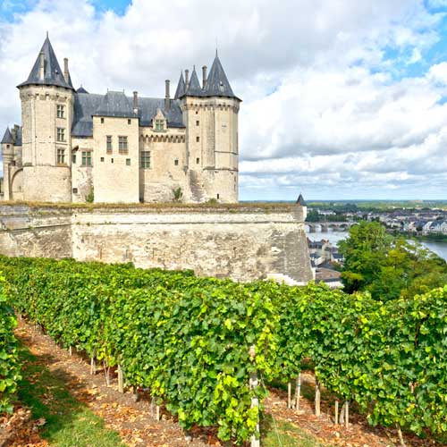 A stone castle nearby the vineyard