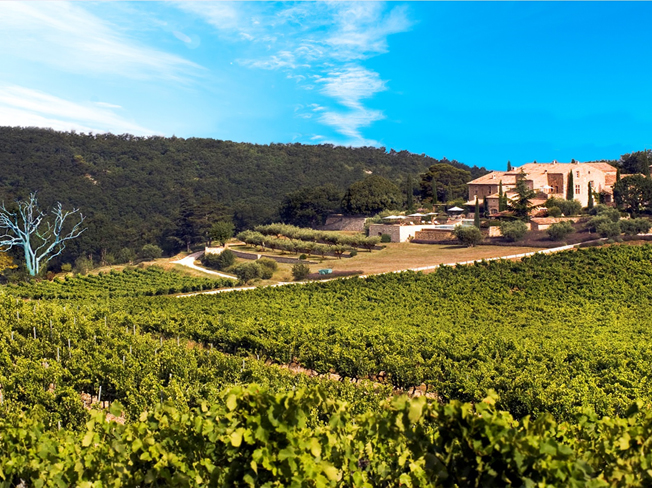 Rhone Vineyard - Chene Bleu