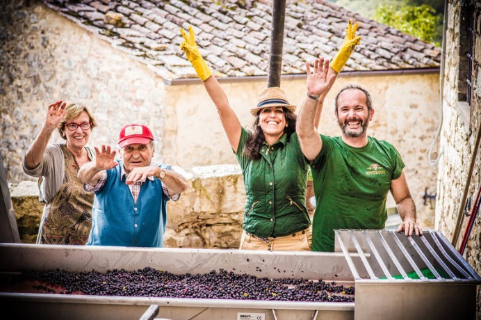 Four people sorting grapes, Monteraponi