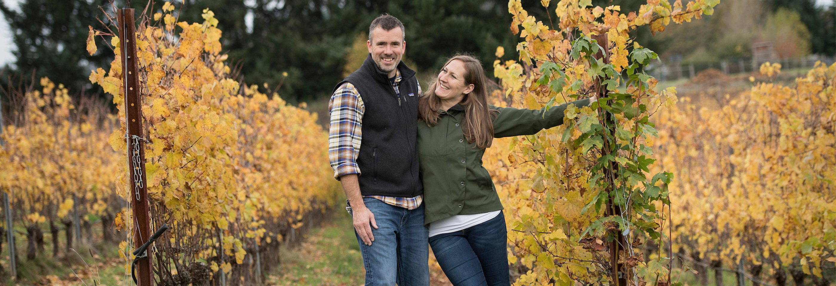Piedmont vineyard on a hill