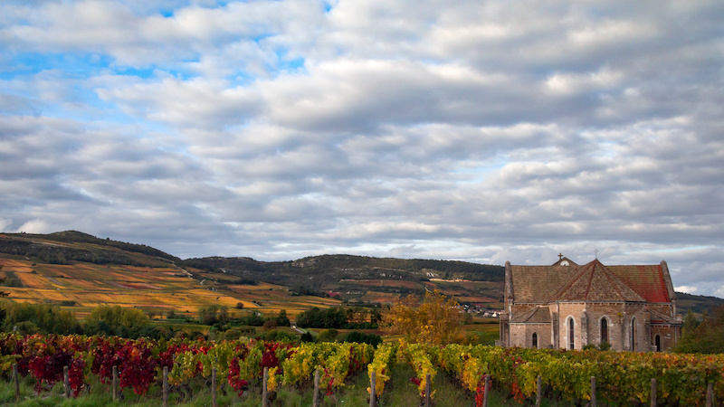 vibrant landscape of fields with an old mansion in the french village of Maranges