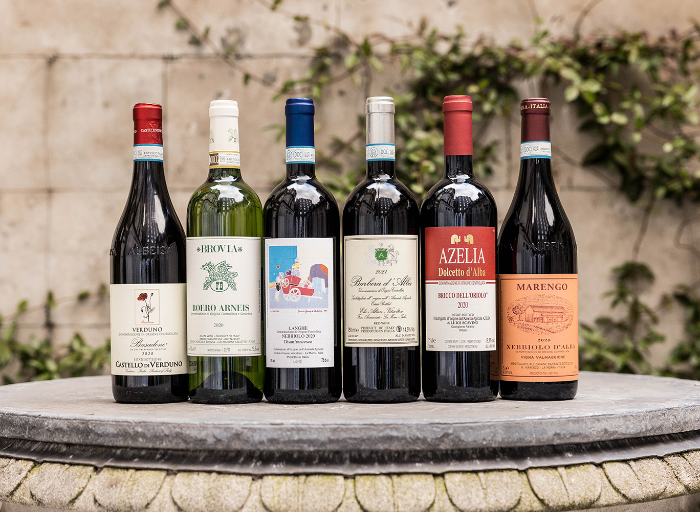 Rows of different Piedmont wines