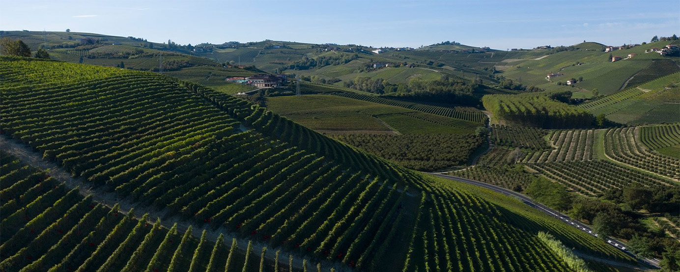 Birds eye view of the Neive (Barbaresco) region