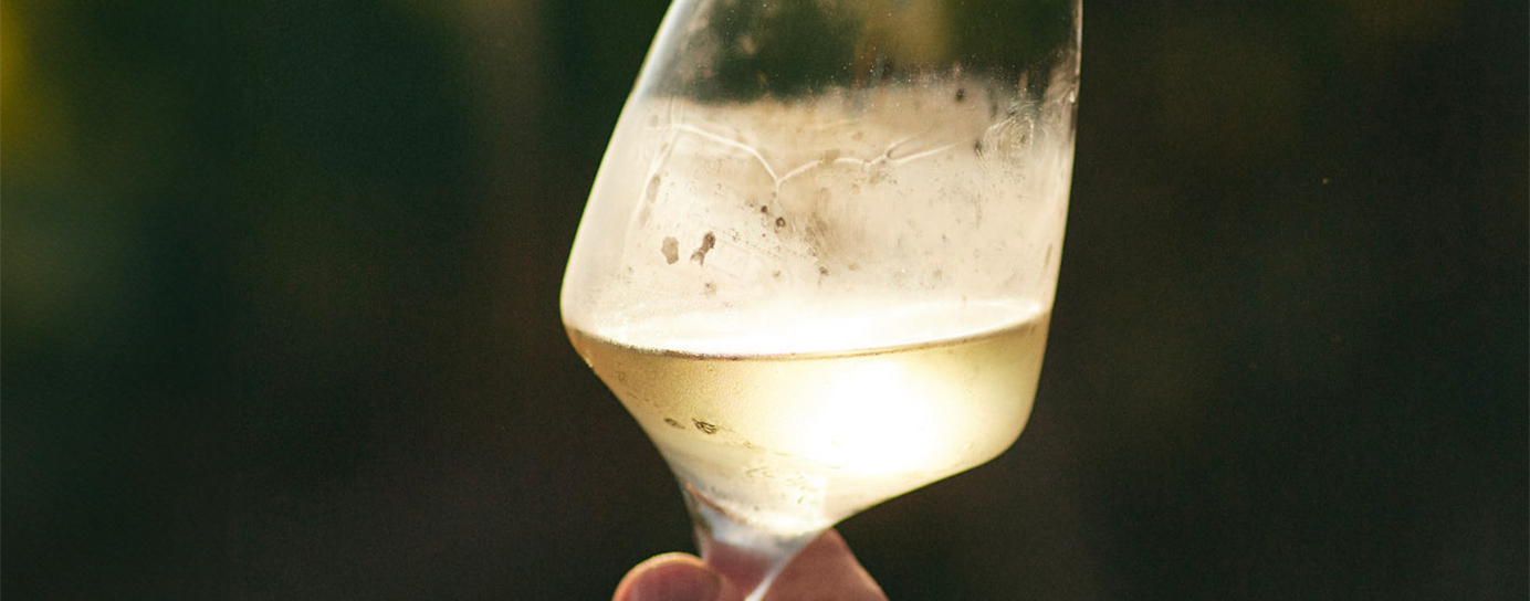 A glass of Riesling wine