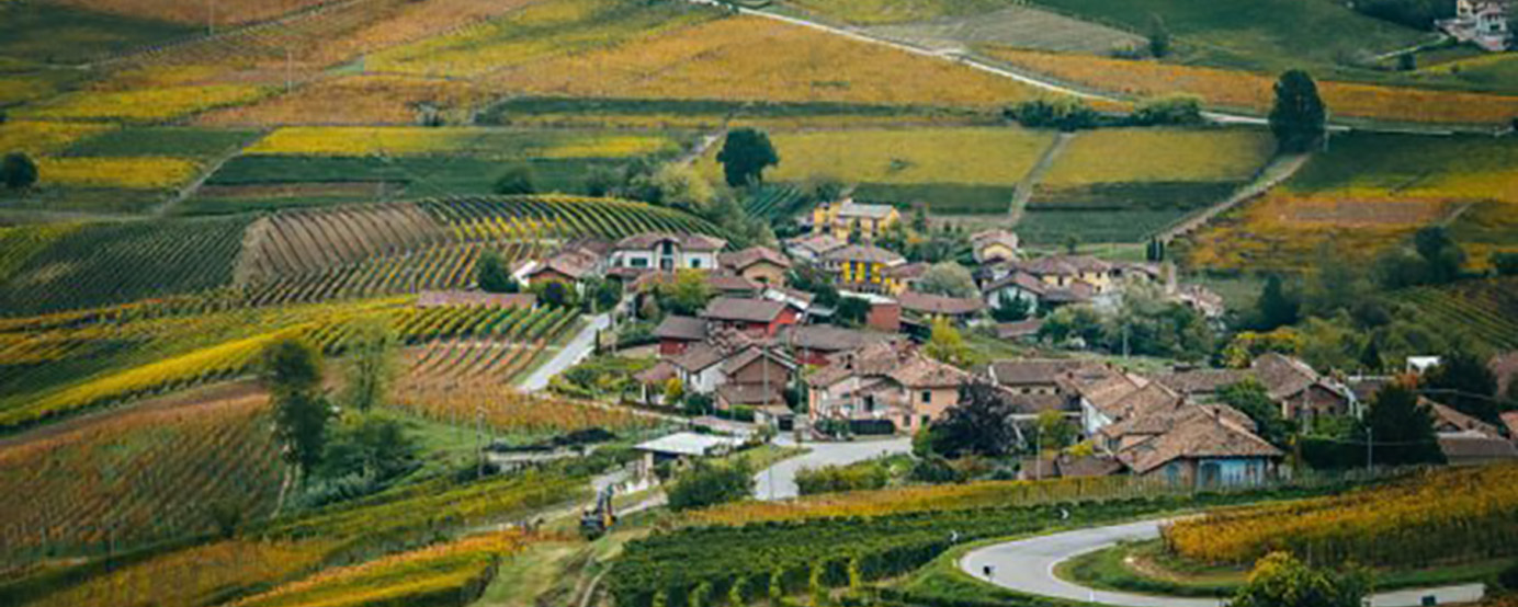 Bird eye view of the region of Barolo