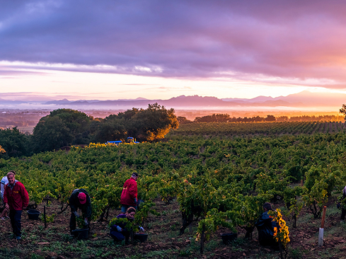 Rhone region during sunset