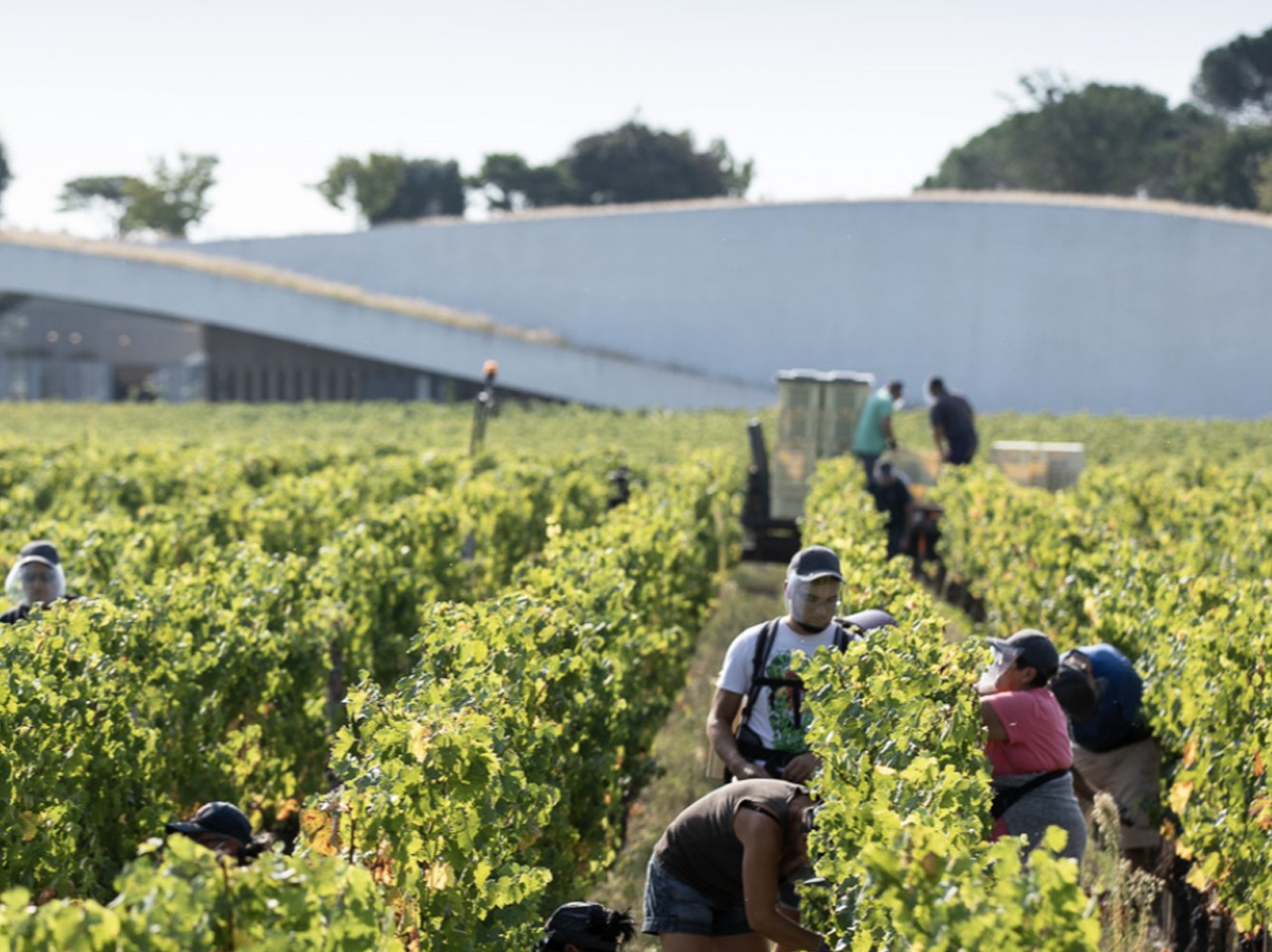 Bordeaux 2025 En Primeur