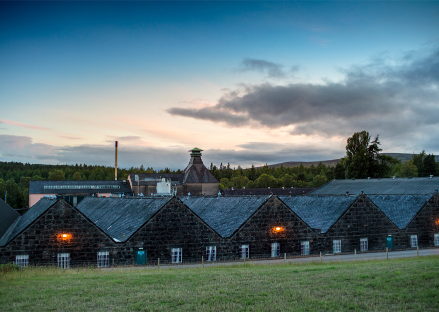 knockando distillery