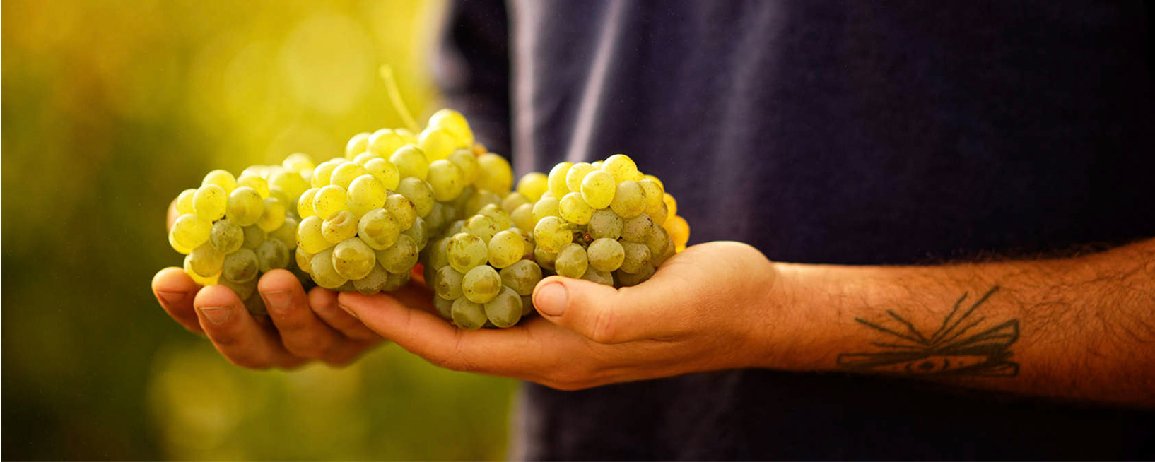 white grapes