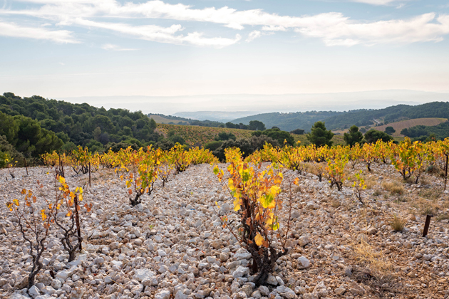 rhone