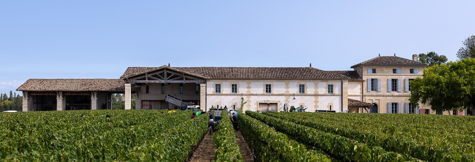 Chateau Lafleur