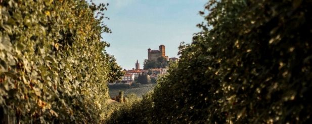 Looking out to the Monforte d’Alba