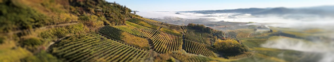 Hills with fog