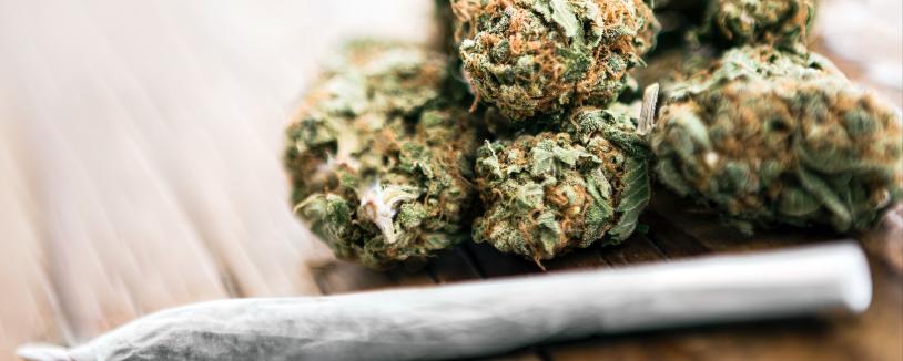 Know Your Rights for Possession of Marijuana | Dial-A-Law