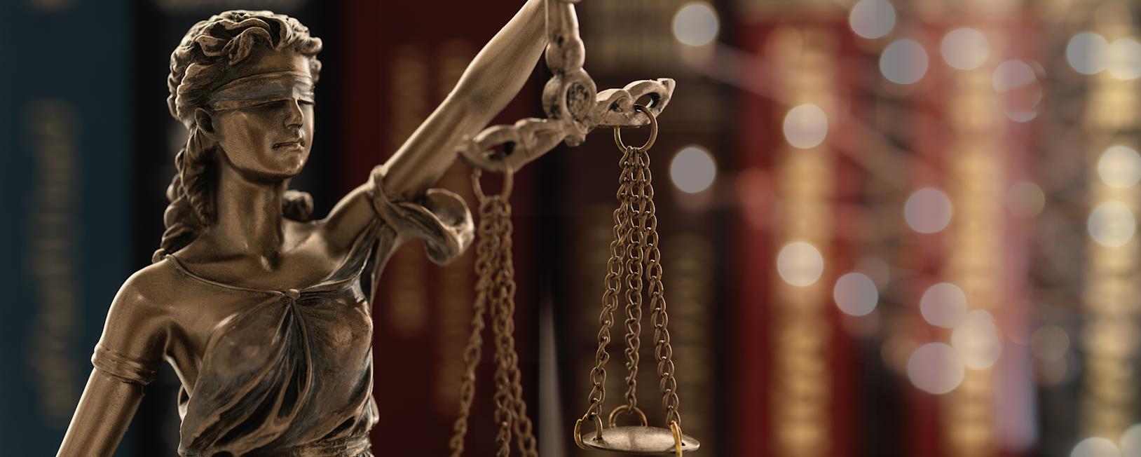 What Are My Charter Rights? DialALaw Charter Rights Meaning