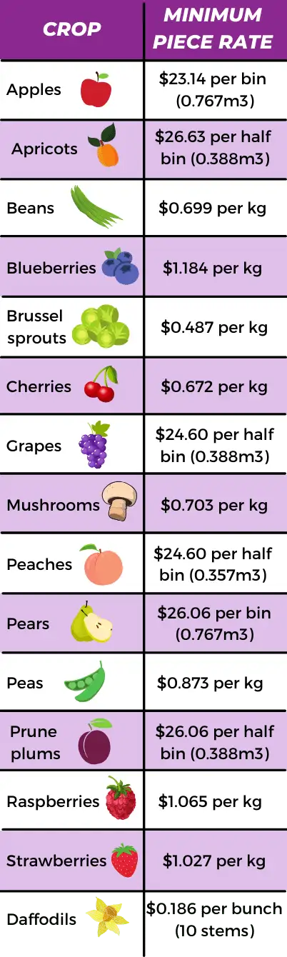 Minimum piece rates for farm workers