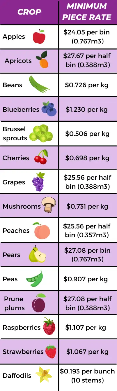 Minimum piece rates for farm workers