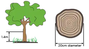Trees and neighbours | People's Law