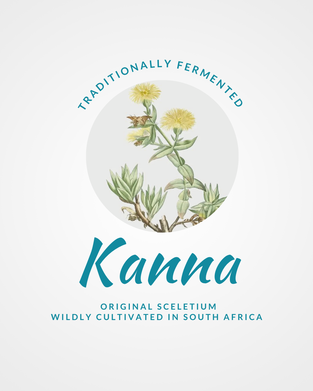 1:1 Guidance Sessions
