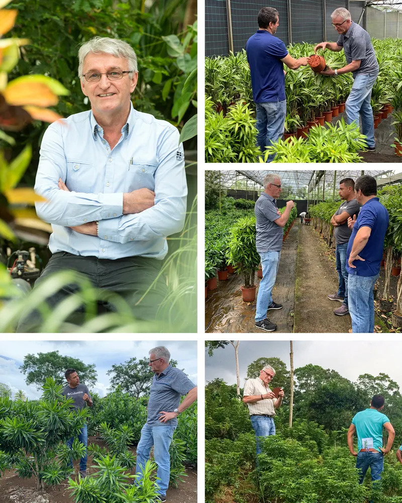 Henk Nieuwkoop collage
