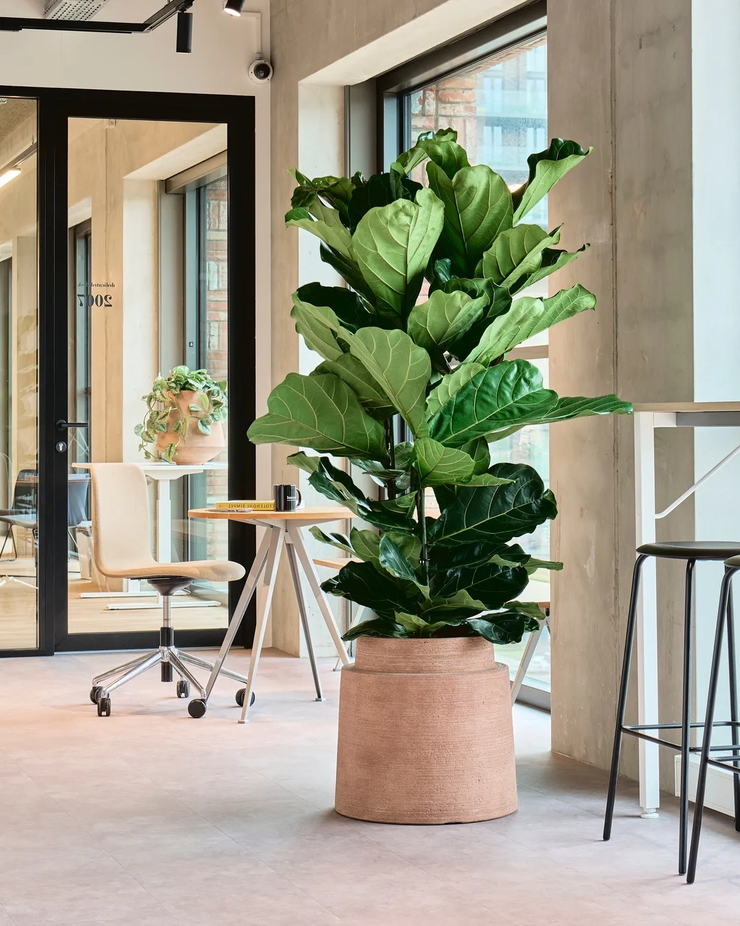 Private label Colorado 