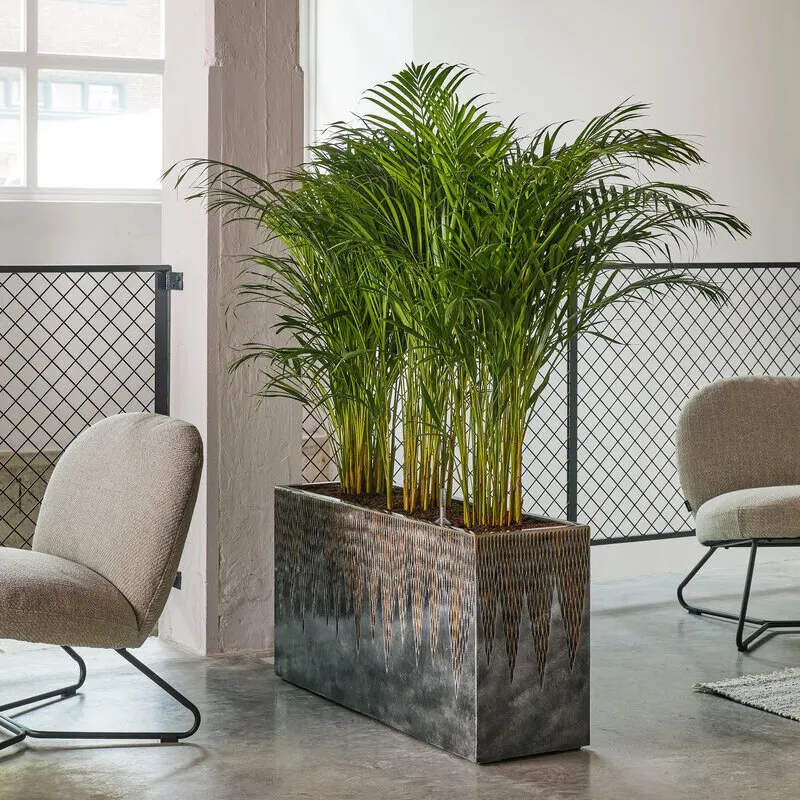 natuurlijke dividers Baq Luxe Lite