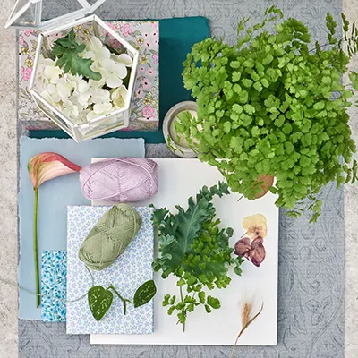 Collecting Memories flatlay