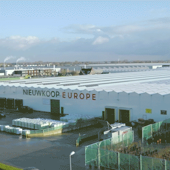 gif over Nieuwkoop Europe nieuw