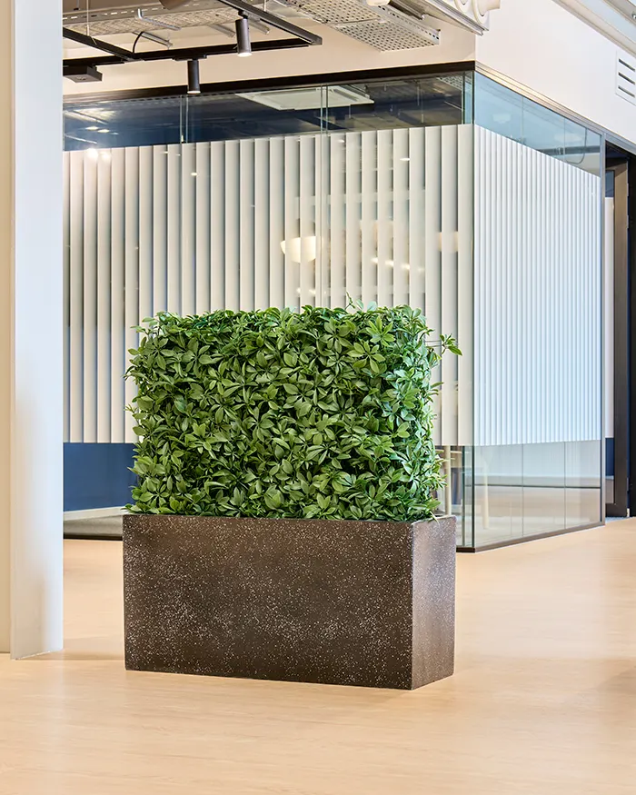 artificial hedge Baq Terrazzo