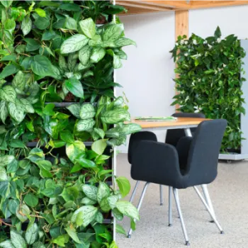 Living wall room divider