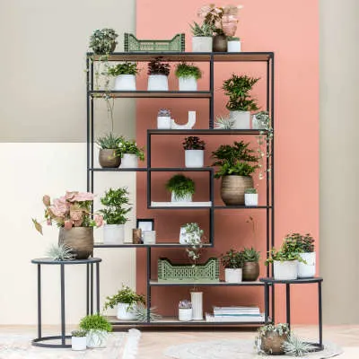 mix kleine potjes ryan rough concrete