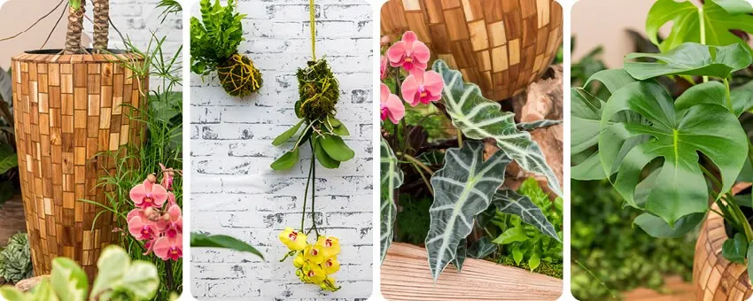 thumbnail Website 3-4 luik staande beelden