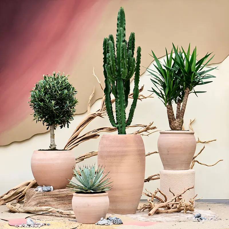 Terra-Moderna-en-Terra-Antica 02195