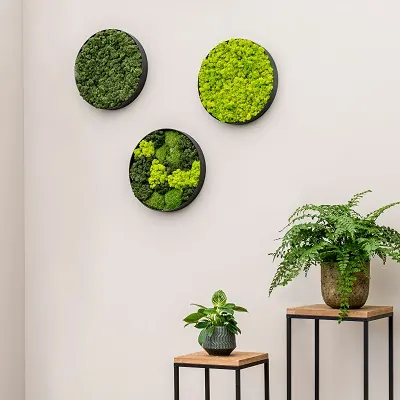 0318 Mos schilderij-Refined DSC3189