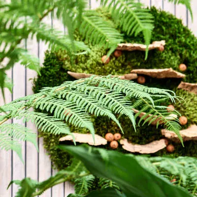 Stijltrend Ode to Nature 4