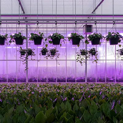 20220127 hydro licht kabine