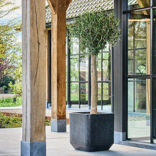 Baq Terrazzo