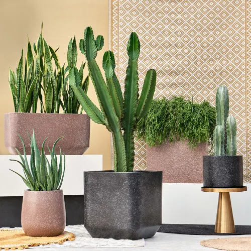 Baq Terrazzo