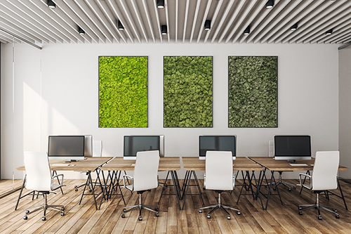 Green wall system