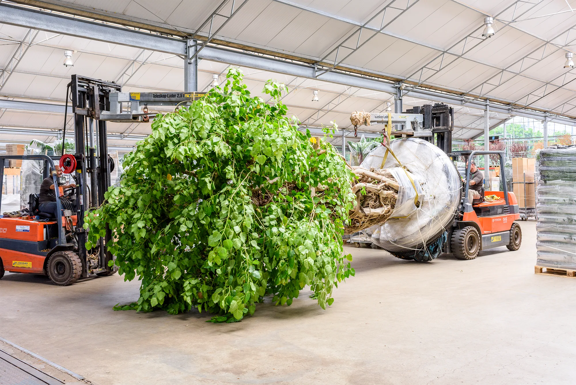 Lifting-plant